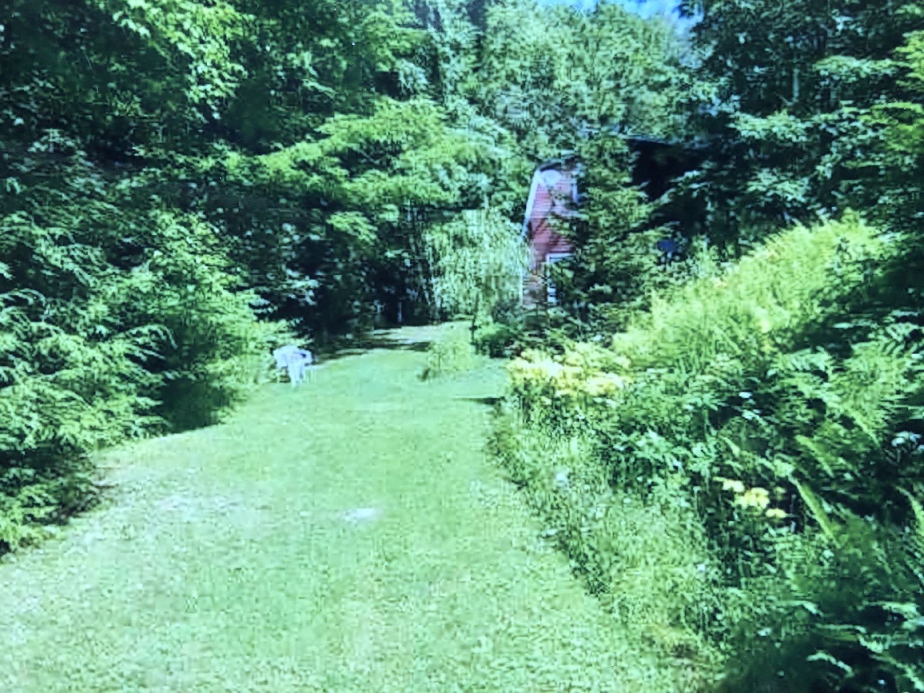 Path from house to woods, bordered by wild flowers